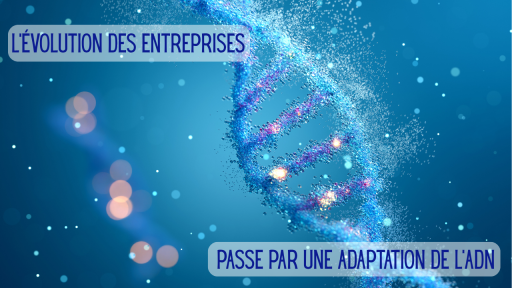 ADN des entreprises - attentes clients B2B